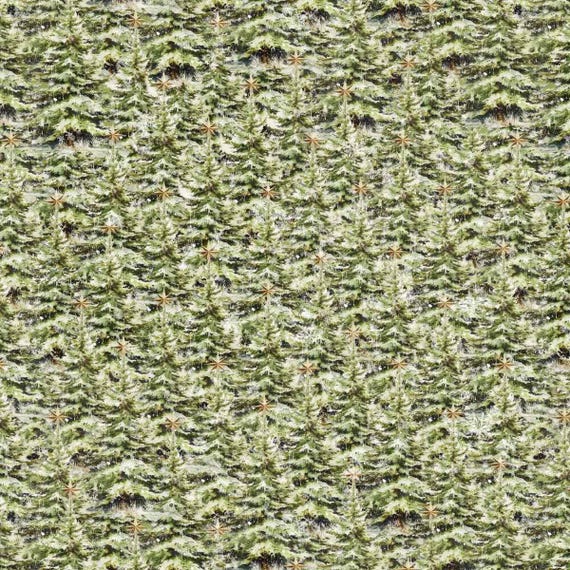 Christmas Magic...Green 2026-66...Frank Garcia...Blank Quilting