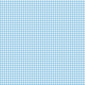 Posie TW11 blue by Tanya Whelan...cottage style print, blue gingham