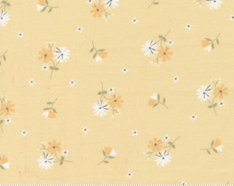 Buttercup & Slate Buttercup 29153 13 by Corey Yoder of Coriander Quilts for Moda Fabrics