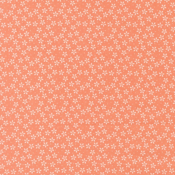 Pastel Prairie...31783 33 Coral...Heather Briggs of My Sew Quilty Life...Moda Fabrics