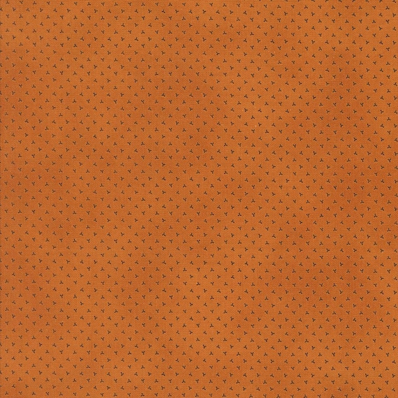 Pumpkin Spice Gatherings...Pumpkin 49296-20...Primitive Gatherings...Moda Fabrics