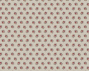 Constance...DV7578...Arlette...L'uccello...Devonstone Collection