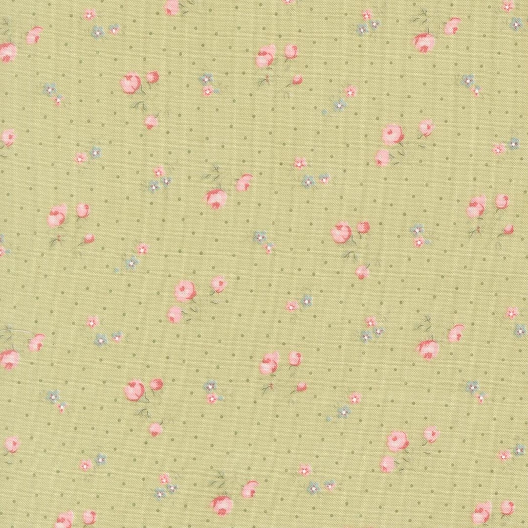 Abide...18792 15 Light Green...brenda Riddle of Acorn Quilt Company ...
