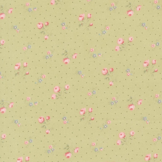 Abide...18792 15 Light Green...Brenda Riddle of Acorn Quilt Company...Moda Fabrics