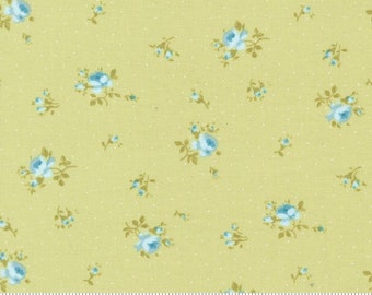 The Shores Sprout 18744 15 by Brenda Riddle of Acorn Quilt Company for Moda Fabrics