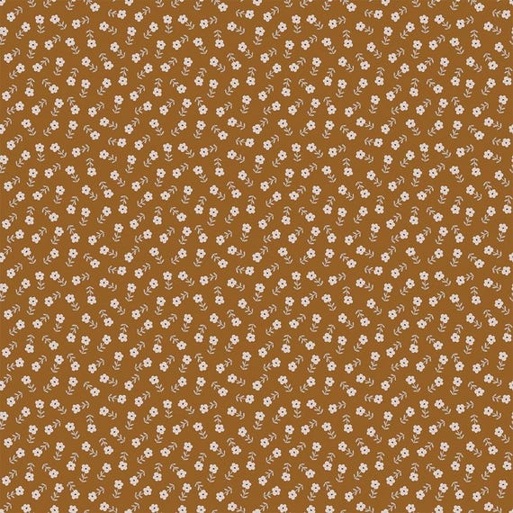 Blush 'n Butterscotch...C15594-CINNAMON...Simple Simon & Company...Riley Blake Designs