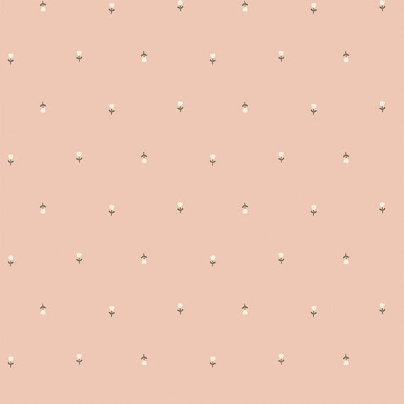 Blush 'n Butterscotch...C15591-BLUSH...Simple Simon & Company...Riley Blake Designs