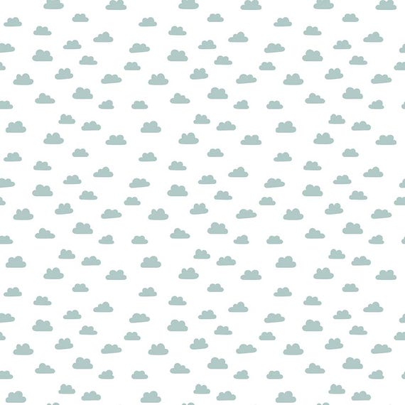 Baby Boy...C16763-WHITE...Lori Whitlock...Riley Blake Designs