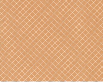 Sunnyside Graph Apricot 55283 18 by Camille Roskelley for Moda Fabrics