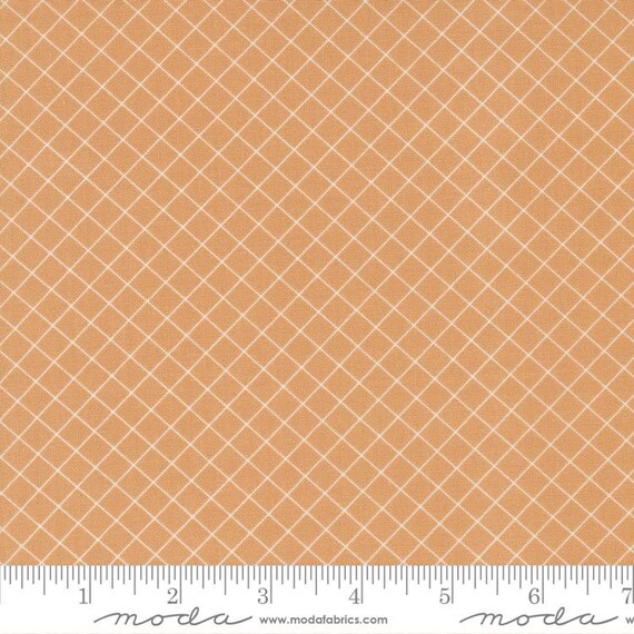 Sunnyside Graph Apricot 55283 18 by Camille Roskelley for Moda Fabrics