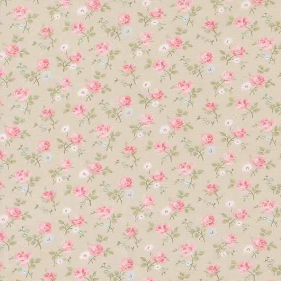 Abide...18791 17 Stone...Brenda Riddle of Acorn Quilt Company...Moda Fabrics