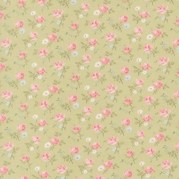 Abide...18791 15 Light Green...Brenda Riddle of Acorn Quilt Company...Moda Fabrics