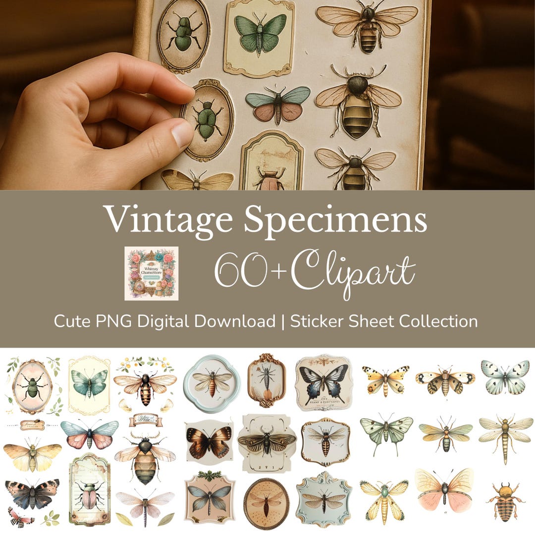 Vintage Specimens Stickers: Butterfly Ephemera, Junk Journal, Scrapbook ...