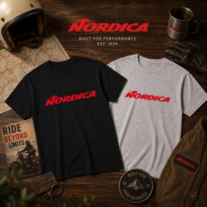 Nordica Skis Graphic T-Shirt, Winter Sports Apparel, Ski Enthusiast Tee