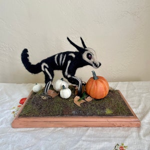 Bone Wolf in the Pumpkin Patch image 1