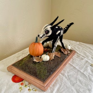 Bone Wolf in the Pumpkin Patch image 2