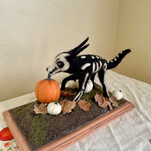 Bone Wolf in the Pumpkin Patch image 3