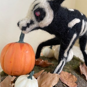 Bone Wolf in the Pumpkin Patch image 4
