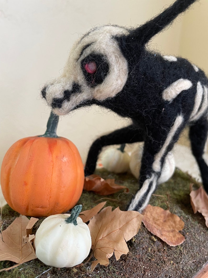 Bone Wolf in the Pumpkin Patch image 4