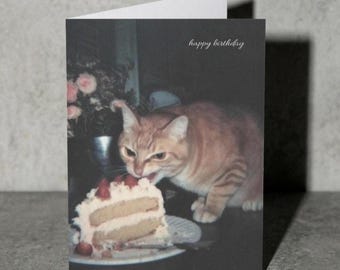 Vintage Birthday Card Cat Eating Cake Retro | Funny Cat Greeting Card Blank Inside, Cute Cat Art Photo, Y2K Style, Cat Lover Gift