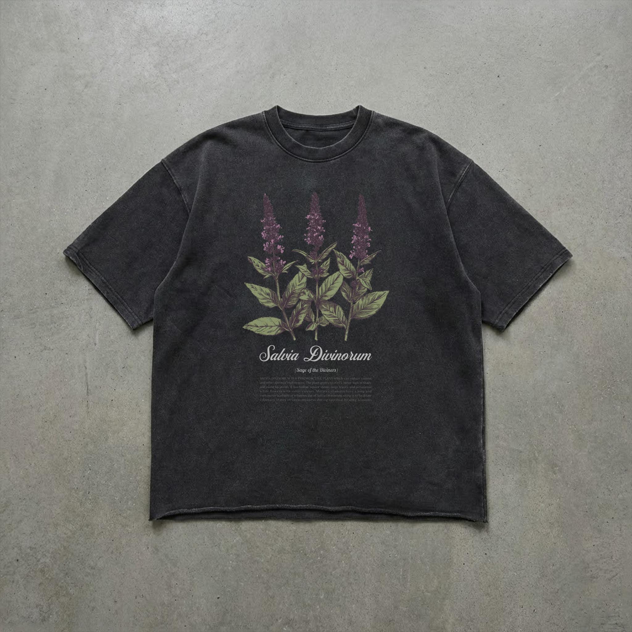Salvia divinorum seeds - Etsy 日本