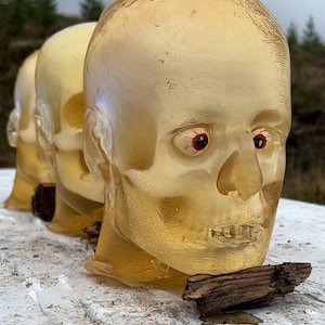 May include: A row of translucent, amber-colored skull sculptures with red eyes. The skulls are arranged in a line, with a piece of wood in front of them. The background is blurred, with trees visible.