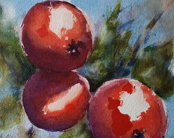 red, apples, blue, floral, fruit, kitchen art, macro. Red Appples 2- Original watercolor painting (6" x 6").