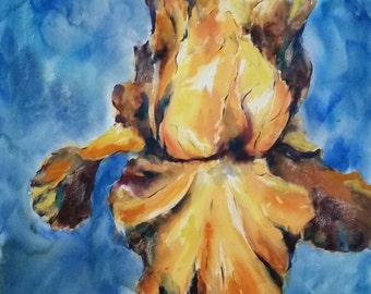 Floral, flowers, macro, Iris, orange, blue.Orange Iris, Center Ice. Original Watercolor Painting 22" x 22".