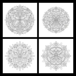 May include: Four black and white butterfly mandala designs. Each mandala features a detailed butterfly at the center, surrounded by intricate floral and geometric patterns. The designs are perfect for coloring or artistic projects.