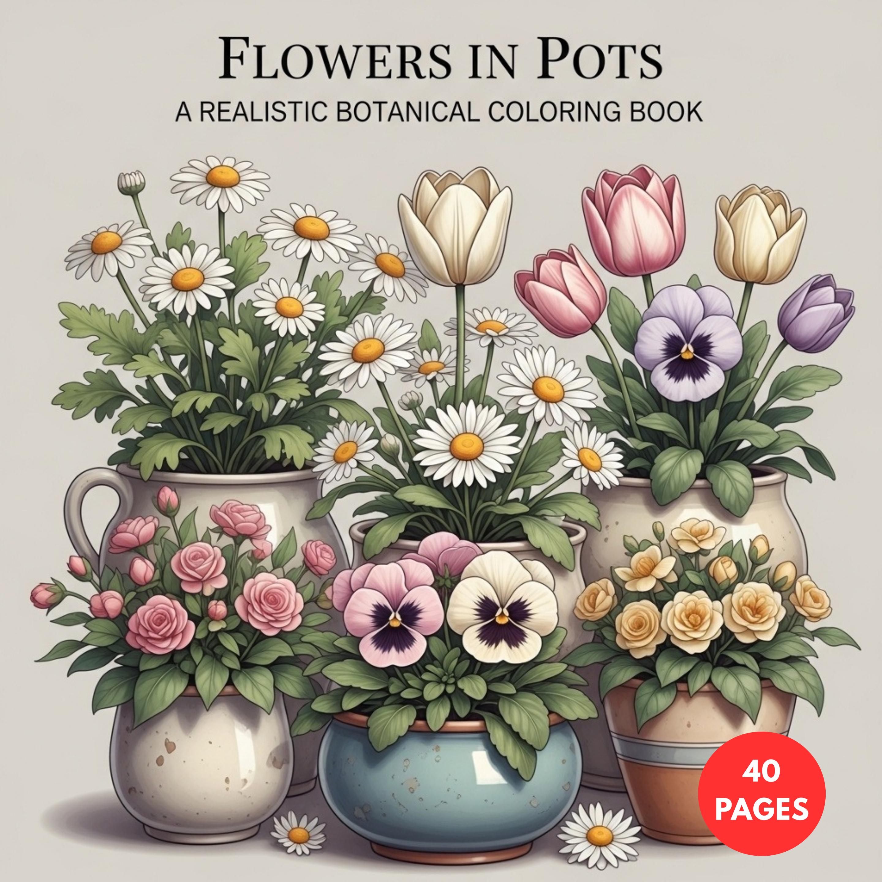 Flowers in Pots - A Realistic Botanical — printable PDF coloring book
