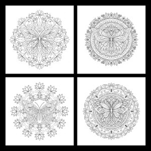 May include: Four black and white butterfly mandala designs. Each mandala features a detailed butterfly at the center, surrounded by intricate floral and geometric patterns. The designs are perfect for coloring or decorative purposes.