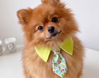 Dog Tie Collar, Pet Shirt Collar with Necktie, Cute Cat Dog Formal Collar, Wedding Pet Accessory, Puppy Birthday Outfit, Pet Photo Prop