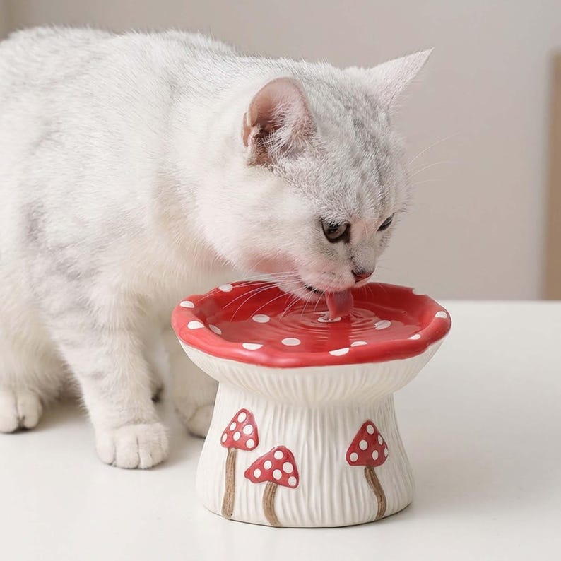May include: A ceramic pet bowl shaped like a mushroom with a red cap featuring white spots and a white stem decorated with smaller red and white mushroom illustrations. The bowl is filled with water, and a light-colored cat is drinking from it.