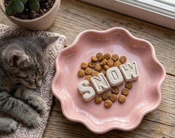 Personalized Ceramic Pet Plate, Custom Dog Cat Tray, Keepsake Gift