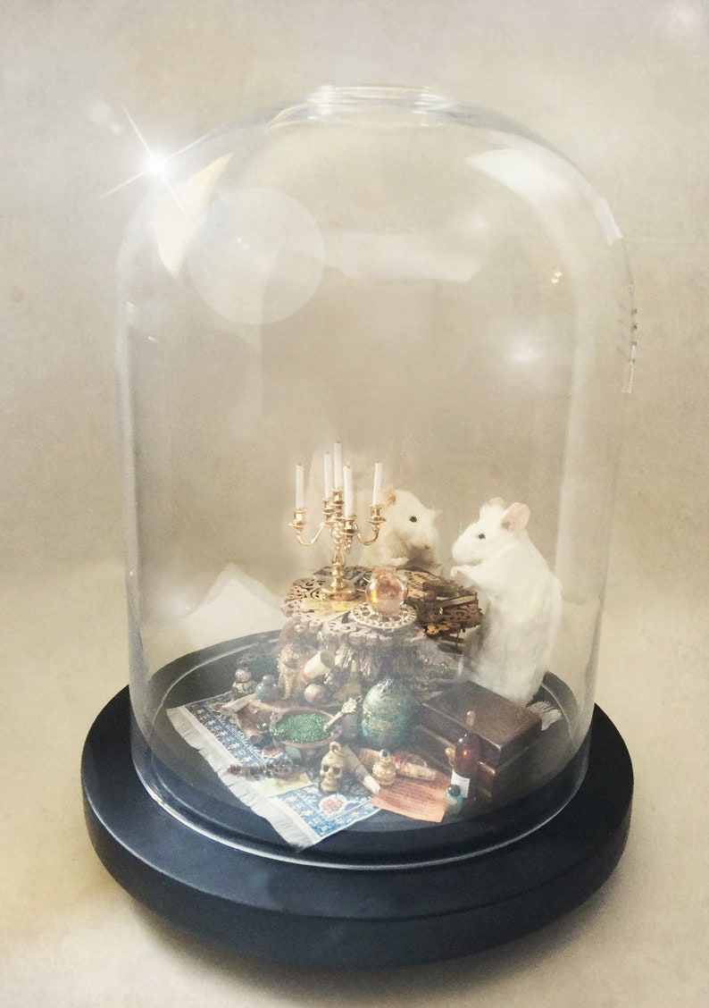 LIMITED STOCK The Séance Taxidermy Mice Handmade Anthropomorphic Mouse Scene in Cloche Dome image 3