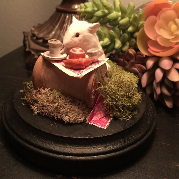 Tea for One Mouse Taxidermy Cloche Dome Setup Diorama with Antique Stamps and Miniature Tea Set