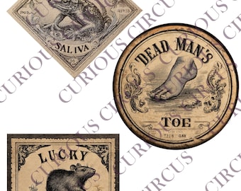 Hocus Pocus Potion Labels - 3 Pack (Dead Man's Toe, Newt Saliva, Lucky Rat Tails)