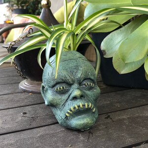 May include: A green ceramic planter shaped like a monster's face with stitched-up lips. A spider plant with green and white striped leaves grows from the planter.