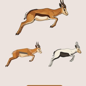 May include: A digital illustration set titled SPRINGBOK BUNDLE featuring three springbok antelopes in mid-leap. The top springbok is brown with a black side stripe. Below are two stylised versions, one geometric and one white with black markings. Includes text 100% TRANSPARENT PNGS • COMMERCIAL USE.