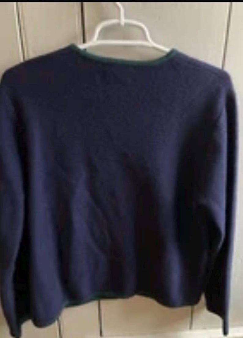 Puede incluir: Un su&eacute;ter azul marino con cuello redondo y mangas largas. El cuello y el dobladillo est&aacute;n ribeteados con una fina banda verde. El su&eacute;ter est&aacute; colgado de una percha blanca.