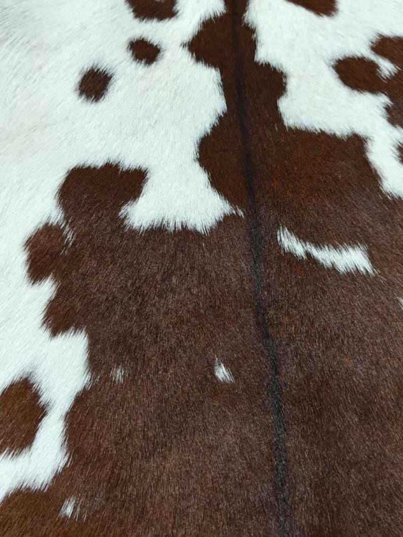 May include: Close-up of a cowhide rug with a natural pattern. The rug features a mix of white and brown patches, creating a unique and rustic aesthetic. The texture of the fur is visible.