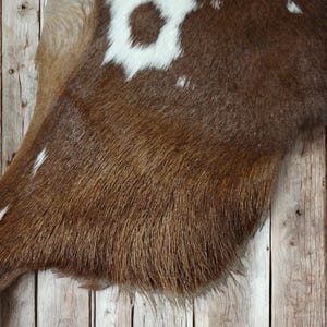 May include: A cowhide rug with a brown and white spotted pattern. The rug has a soft, textured appearance and is displayed against a rustic wooden background. The hide is a natural material, adding a touch of rustic charm to any space.