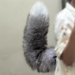 Może przedstawiać: Puszysty, szary i biały ogon, prawdopodobnie dodatek do kostiumu. Ogon ma gradient od szarego do białego, z miękką, futrzaną fakturą. Ogon jest zakrzywiony i wydaje się być przymocowany do czegoś poza kadrem.