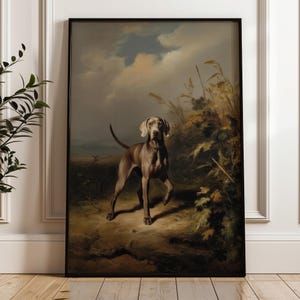 Op de afbeelding: Een ingelijste print van een Weimaraner hond in een veld. De grijze hond met een lichtere kop staat in een landschap met hoog gras en een bewolkte lucht. Het kunstwerk is ingelijst in een zwarte lijst.