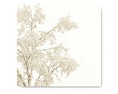 Winter Snow Tree Landscape, photo, winter, white, dramatic, grey, soft, snowy tree, monotone, sepia, storm, freeze, ice, snowy scene
