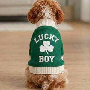 Customizable Embroidered St Patrick Dogs Sweater, Custom Pet Apparel, Winter Warm Soft Puppy Pets, Gift for Pet Lovers, Boy Dog