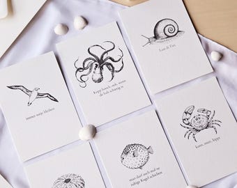 Set of 6 cards: Low German, North German, coastal love, shells, seagulls, octopus, maritime illustrations