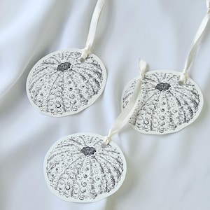 Sea urchin gift tags, like a day at the sea, preserve memories, shell decoration, lovingly packaged, handmade