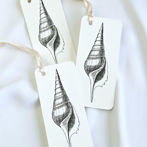 Könnte beinhalten: Drei rechteckige, weiße Geschenkanhänger mit detaillierten Schwarz-Weiß-Illustrationen von Muscheln. Jeder Anhänger hat oben ein kleines Loch mit einem cremefarbenen Band. Die Anhänger sind auf einer weißen Oberfläche angeordnet.