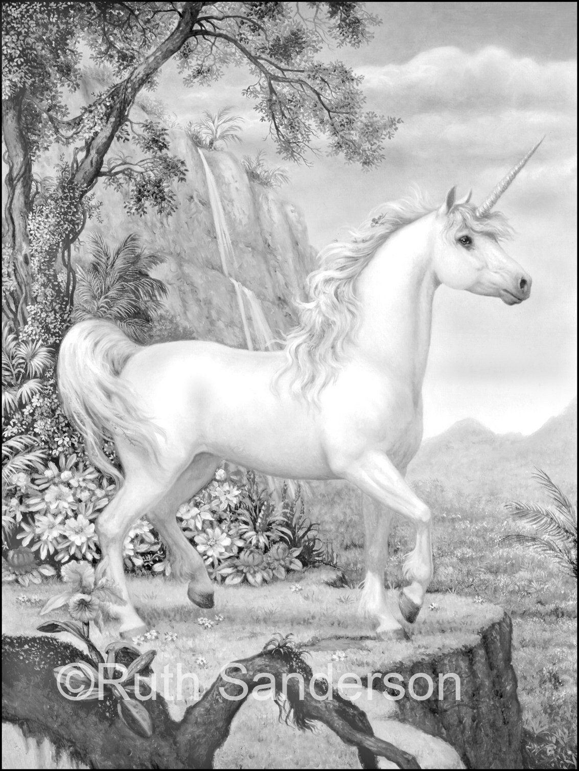 Unicorns: 6-image Downloadable PDF Grayscale Coloring Pages - Etsy Canada